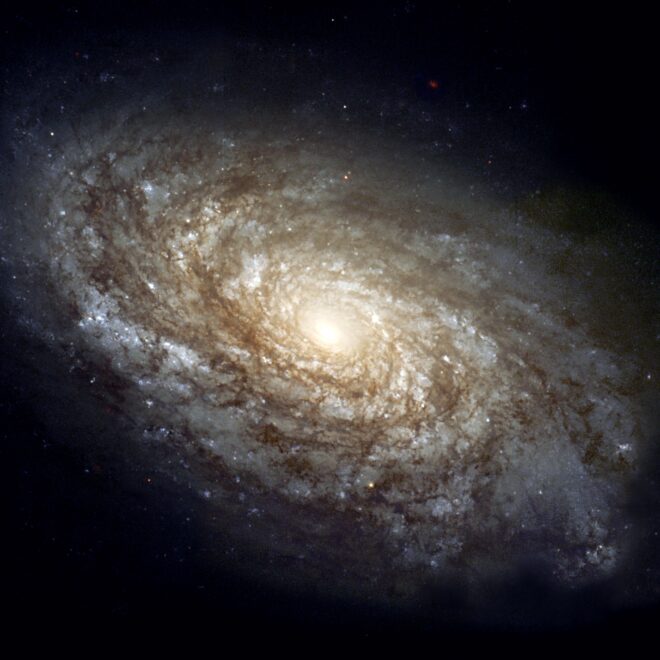 Data Modeling: Star, Snowflake, Galaxy, Data Vault, Wide-Table