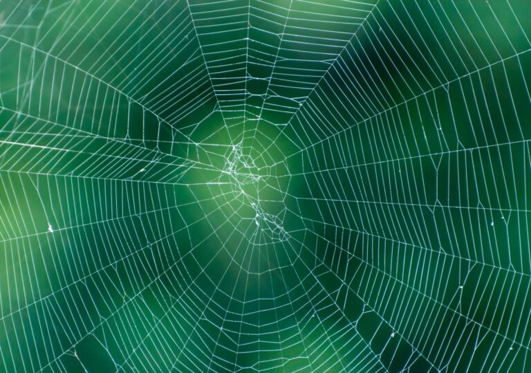 Architectural Deep Dive: Data Mesh