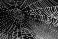 Architectural Deep Dive: Data Mesh