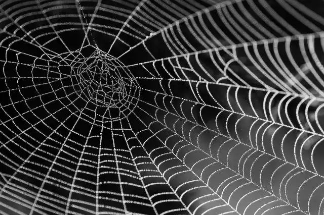 Architectural Deep Dive: Data Mesh
