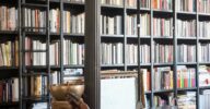 Data & AI Bookshelf