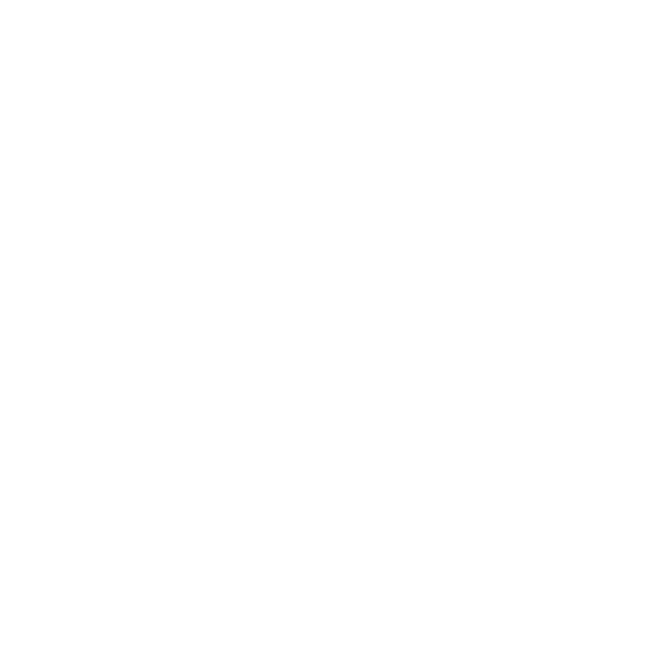 The Fundamentals